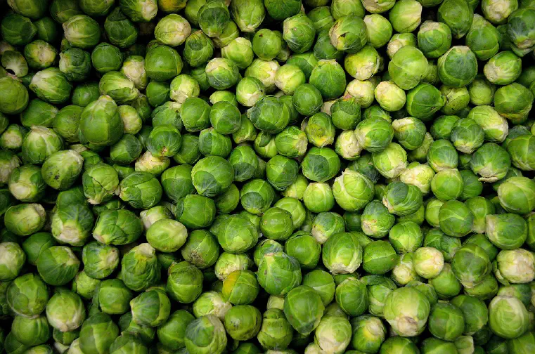 What Are the Health Benefits of Brussel Sprouts