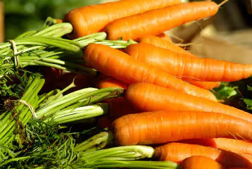 What Vitamins Are in Carrots