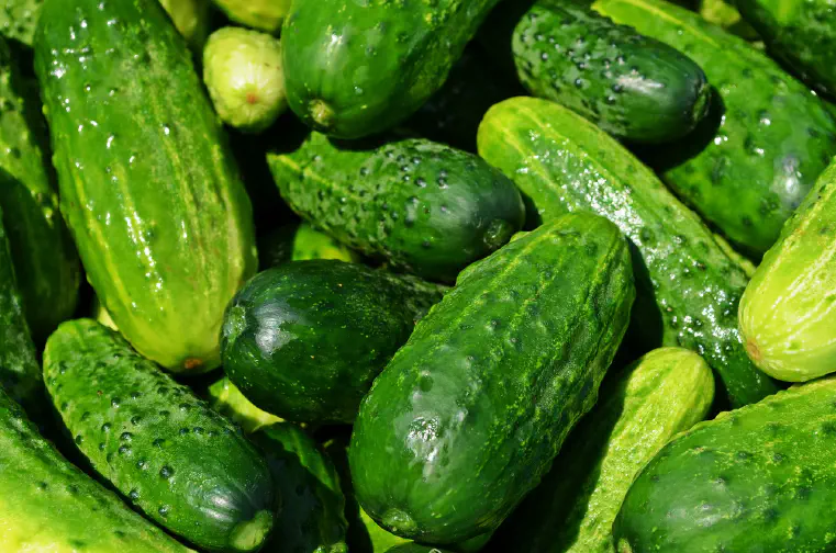 What Vitamins Are in Cucumbers